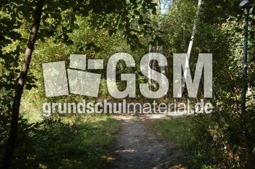 Museumsdorf Düppel_06.jpg